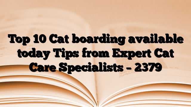 Top 10 Cat boarding available today Tips from Expert Cat Care Specialists