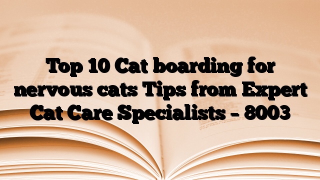 Top 10 Cat boarding for nervous cats Tips from Expert Cat Care Specialists