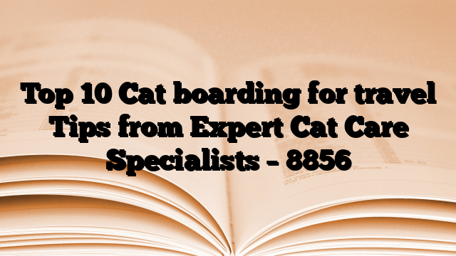 Top 10 Cat boarding for travel Tips from Expert Cat Care Specialists