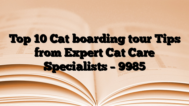 Top 10 Cat boarding tour Tips from Expert Cat Care Specialists
