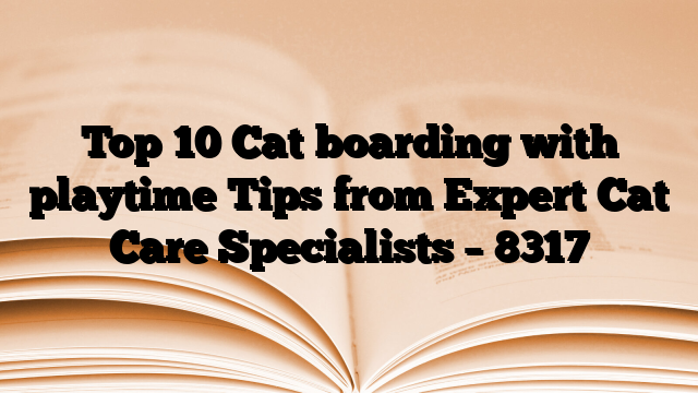 Top 10 Cat boarding with playtime Tips from Expert Cat Care Specialists