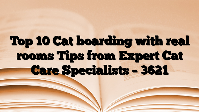Top 10 Cat boarding with real rooms Tips from Expert Cat Care Specialists