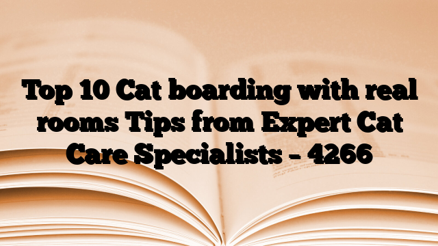 Top 10 Cat boarding with real rooms Tips from Expert Cat Care Specialists