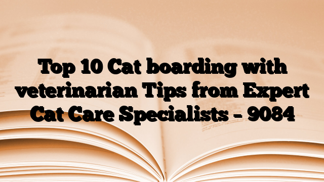 Top 10 Cat boarding with veterinarian Tips from Expert Cat Care Specialists