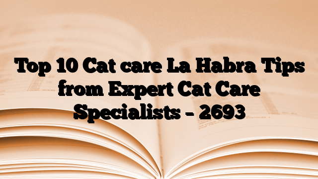 Top 10 Cat care La Habra Tips from Expert Cat Care Specialists