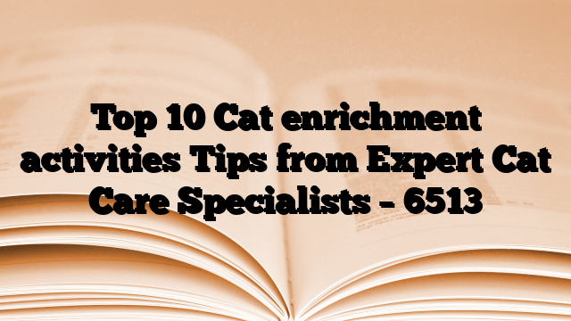 Top 10 Cat enrichment activities Tips from Expert Cat Care Specialists