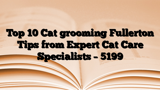 Top 10 Cat grooming Fullerton Tips from Expert Cat Care Specialists