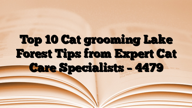 Top 10 Cat grooming Lake Forest Tips from Expert Cat Care Specialists
