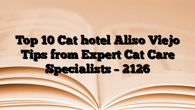 Top 10 Cat hotel Aliso Viejo Tips from Expert Cat Care Specialists