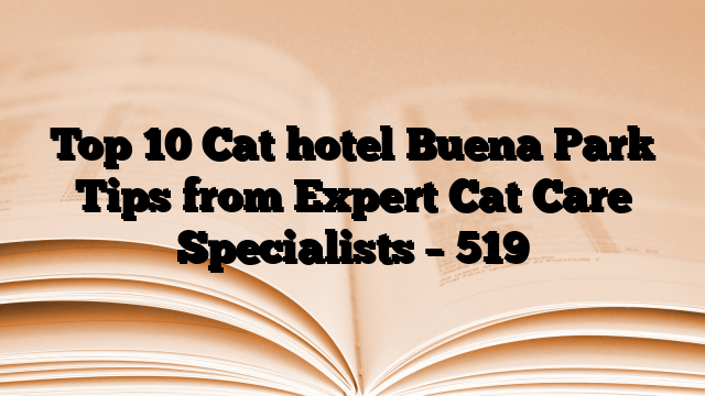 Top 10 Cat hotel Buena Park Tips from Expert Cat Care Specialists