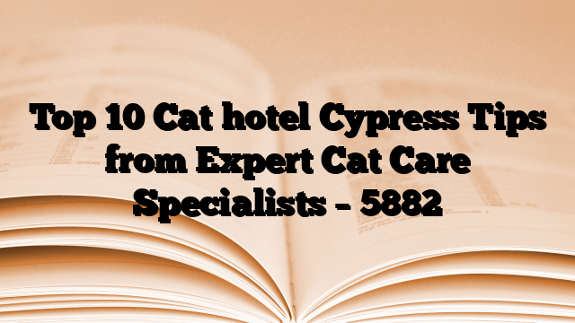 Top 10 Cat hotel Cypress Tips from Expert Cat Care Specialists
