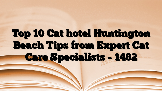 Top 10 Cat hotel Huntington Beach Tips from Expert Cat Care Specialists – 1482