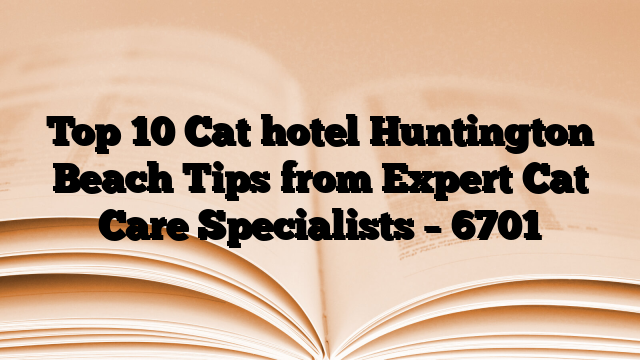 Top 10 Cat hotel Huntington Beach Tips from Expert Cat Care Specialists