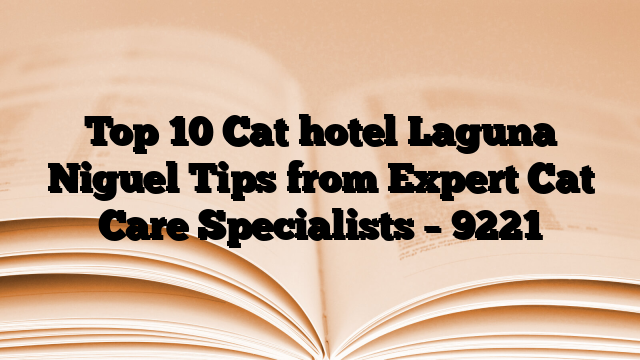 Top 10 Cat hotel Laguna Niguel Tips from Expert Cat Care Specialists