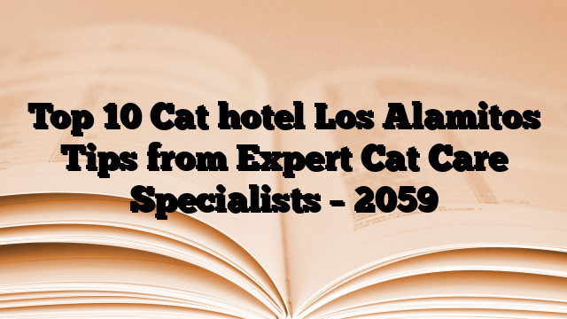 Top 10 Cat hotel Los Alamitos Tips from Expert Cat Care Specialists