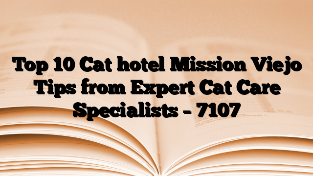 Top 10 Cat hotel Mission Viejo Tips from Expert Cat Care Specialists