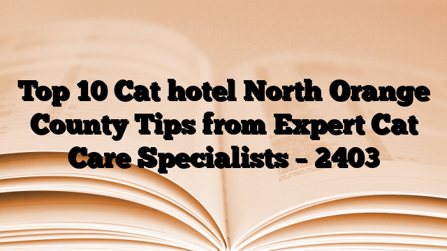 Top 10 Cat hotel North Orange County Tips from Expert Cat Care Specialists