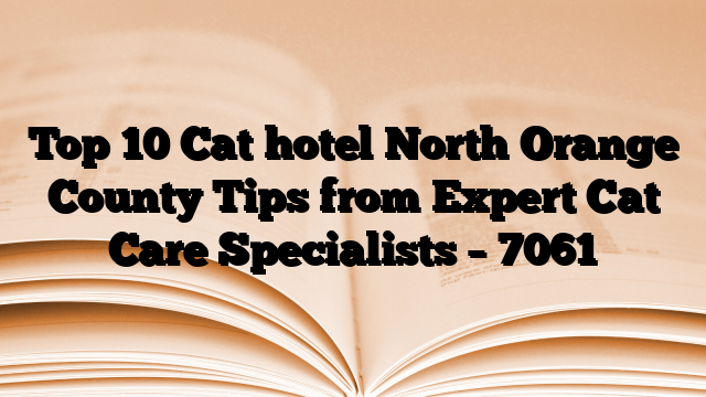Top 10 Cat hotel North Orange County Tips from Expert Cat Care Specialists