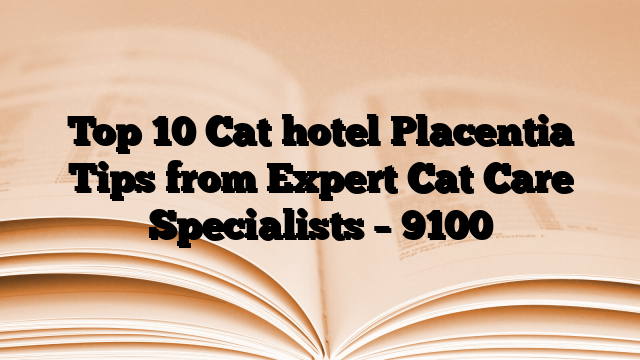 Top 10 Cat hotel Placentia Tips from Expert Cat Care Specialists