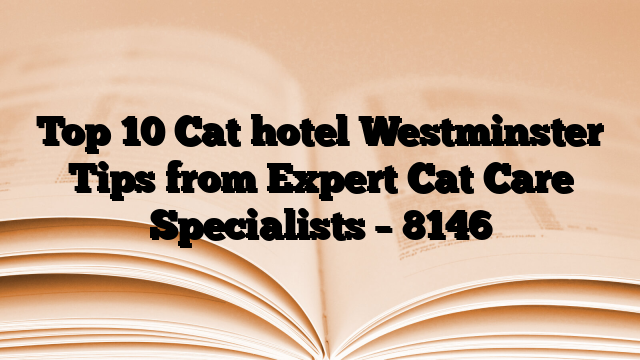 Top 10 Cat hotel Westminster Tips from Expert Cat Care Specialists