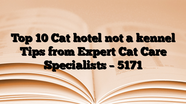 Top 10 Cat hotel not a kennel Tips from Expert Cat Care Specialists