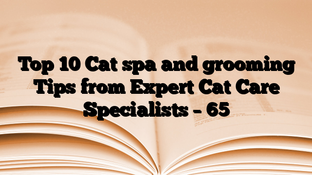 Top 10 Cat spa and grooming Tips from Expert Cat Care Specialists – 65