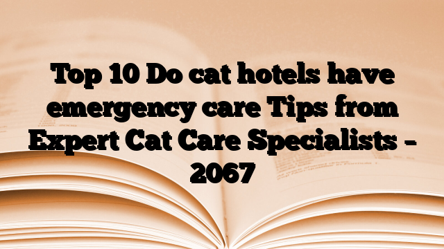Top 10 Do cat hotels have emergency care Tips from Expert Cat Care Specialists