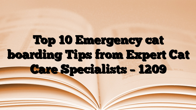 Top 10 Emergency cat boarding Tips from Expert Cat Care Specialists