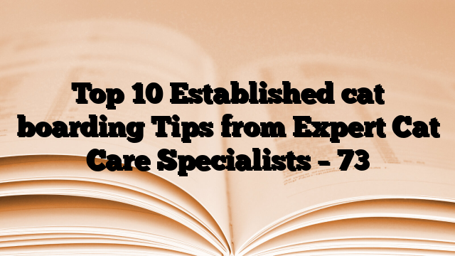 Top 10 Established cat boarding Tips from Expert Cat Care Specialists – 73