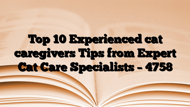 Top 10 Experienced cat caregivers Tips from Expert Cat Care Specialists