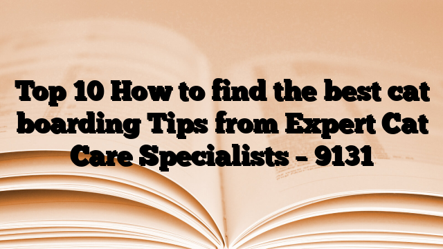Top 10 How to find the best cat boarding Tips from Expert Cat Care Specialists