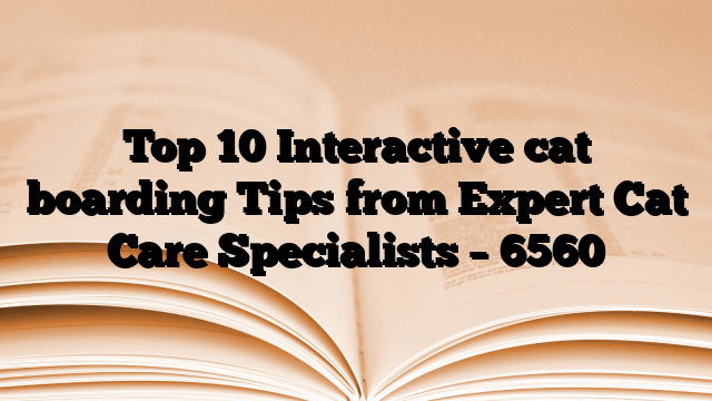 Top 10 Interactive cat boarding Tips from Expert Cat Care Specialists