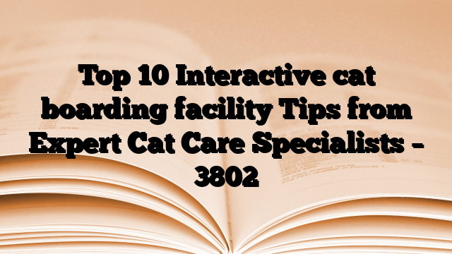 Top 10 Interactive cat boarding facility Tips from Expert Cat Care Specialists