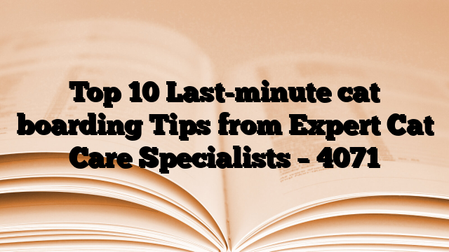 Top 10 Last-minute cat boarding Tips from Expert Cat Care Specialists