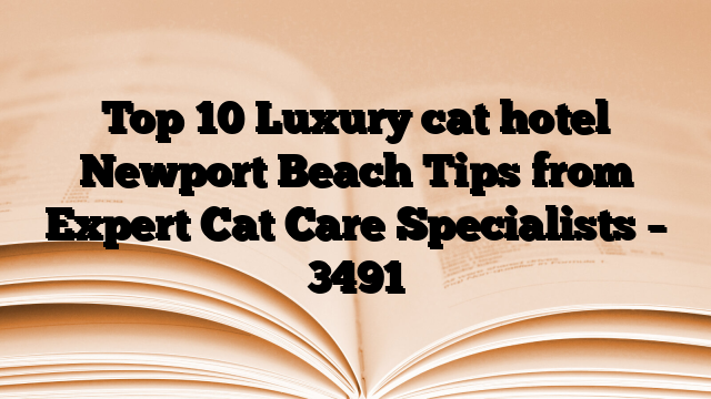 Top 10 Luxury cat hotel Newport Beach Tips from Expert Cat Care Specialists