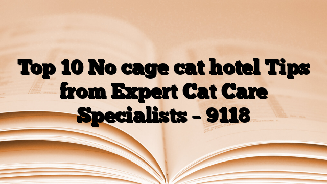 Top 10 No cage cat hotel Tips from Expert Cat Care Specialists