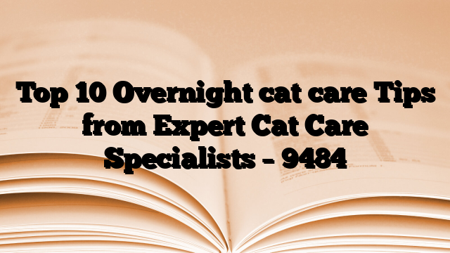 Top 10 Overnight cat care Tips from Expert Cat Care Specialists