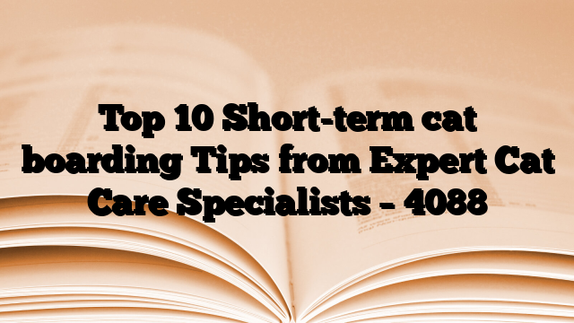 Top 10 Short-term cat boarding Tips from Expert Cat Care Specialists