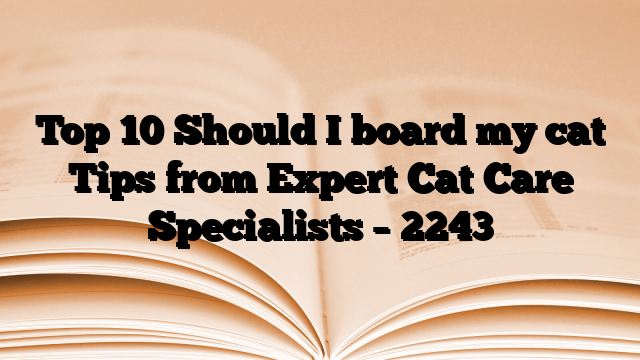 Top 10 Should I board my cat Tips from Expert Cat Care Specialists
