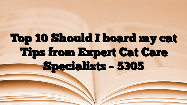 Top 10 Should I board my cat Tips from Expert Cat Care Specialists