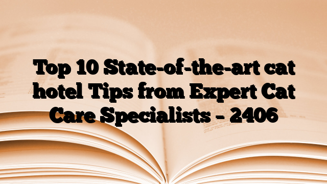 Top 10 State-of-the-art cat hotel Tips from Expert Cat Care Specialists