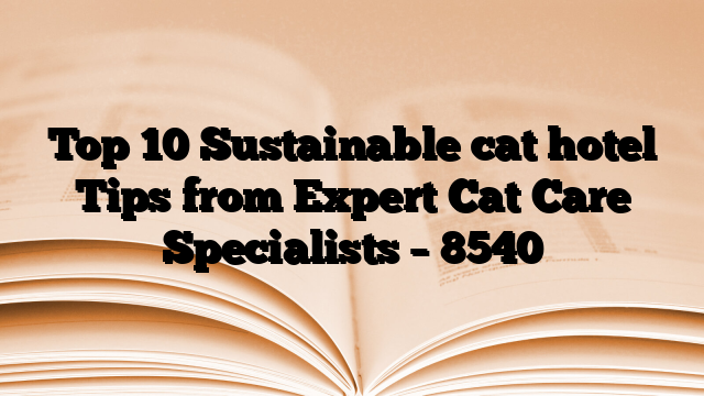 Top 10 Sustainable cat hotel Tips from Expert Cat Care Specialists