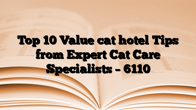 Top 10 Value cat hotel Tips from Expert Cat Care Specialists