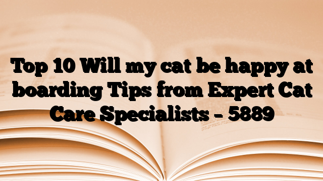Top 10 Will my cat be happy at boarding Tips from Expert Cat Care Specialists