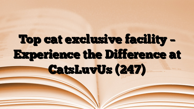 Top cat exclusive facility – Experience the Difference at CatsLuvUs