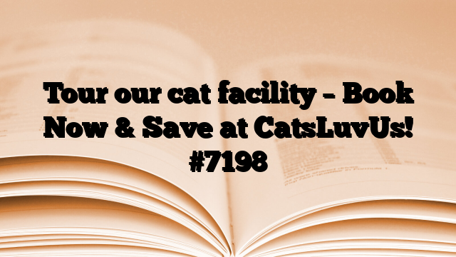 Tour our cat facility – Book Now & Save at CatsLuvUs!