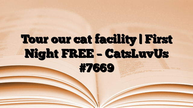 Tour our cat facility | First Night FREE – CatsLuvUs