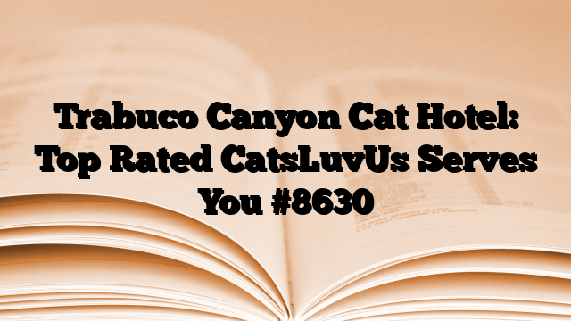 Trabuco Canyon Cat Hotel: Top Rated CatsLuvUs Serves You