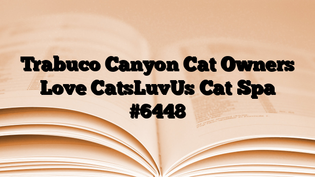 Trabuco Canyon Cat Owners Love CatsLuvUs Cat Spa