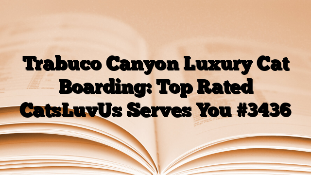 Trabuco Canyon Luxury Cat Boarding: Top Rated CatsLuvUs Serves You